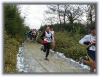 IMG_6076 * 1600 x 1200 * (450KB)